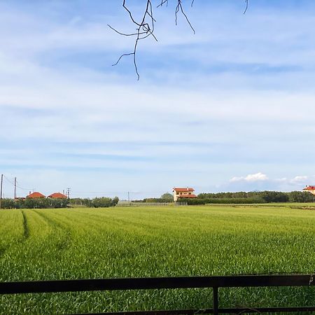 Pond And Pines, By Nice House By The Sea! Epanomí Ngoại thất bức ảnh