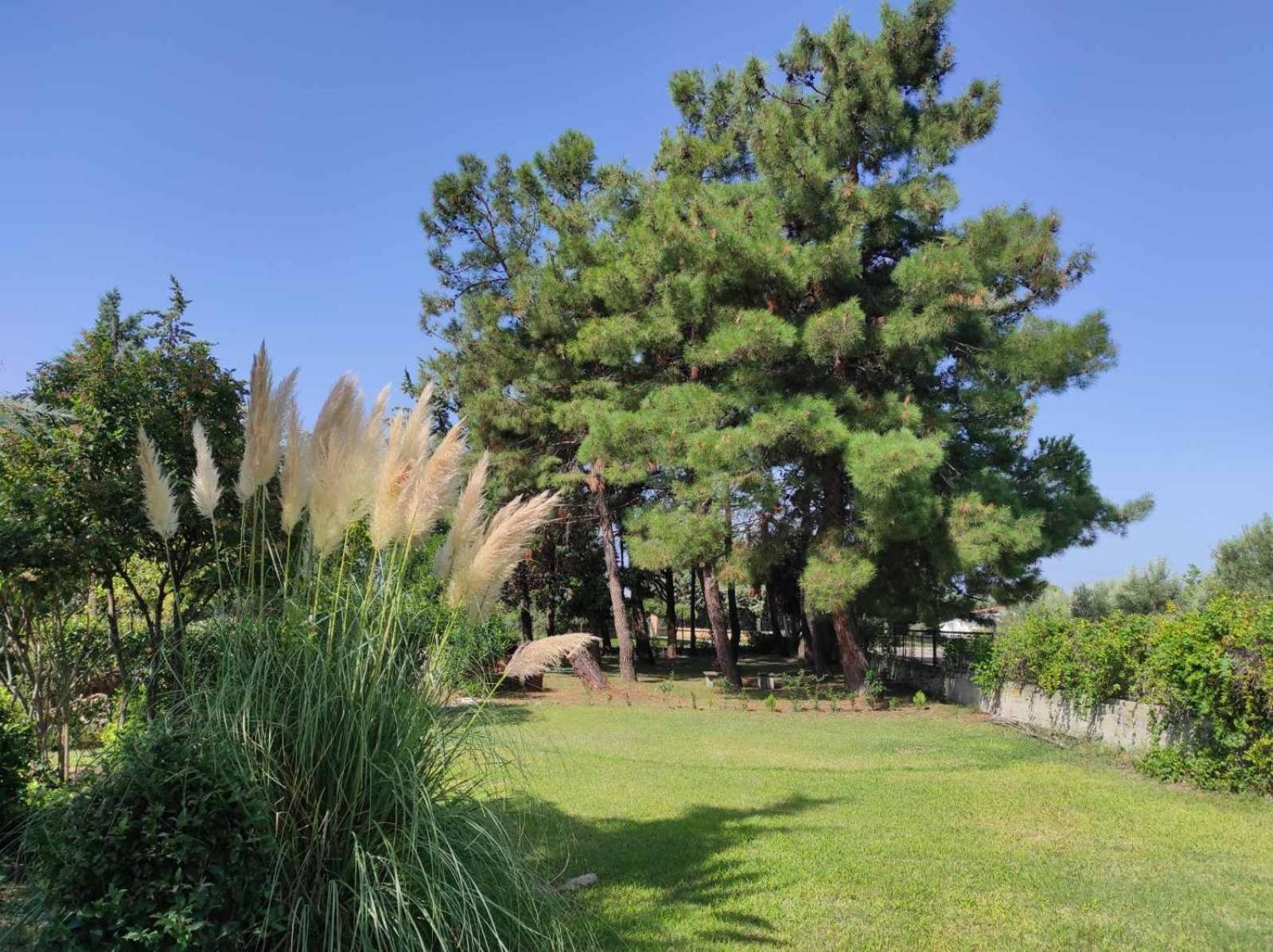 Pond And Pines, By Nice House By The Sea! Epanomí Ngoại thất bức ảnh